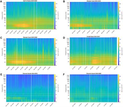 Widespread passive acoustic monitoring reveals spatio-temporal patterns of blue and fin whale song vocalizations in the Northeast Pacific Ocean